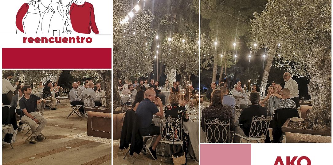 cena empresa AKO-06